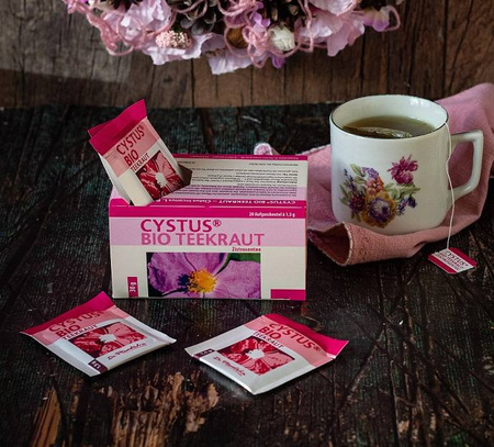 Bio ziele czystka 20x 1,5 g - Cistus Incanus L. Pandalis